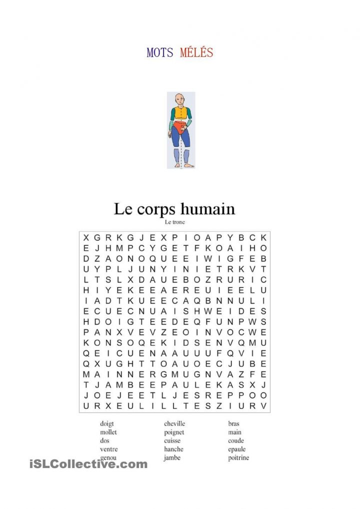 Le Corps Humain | Activités Du Corps Humain, Le Corps Et intérieur Mots Fleches Solutions Gratuites