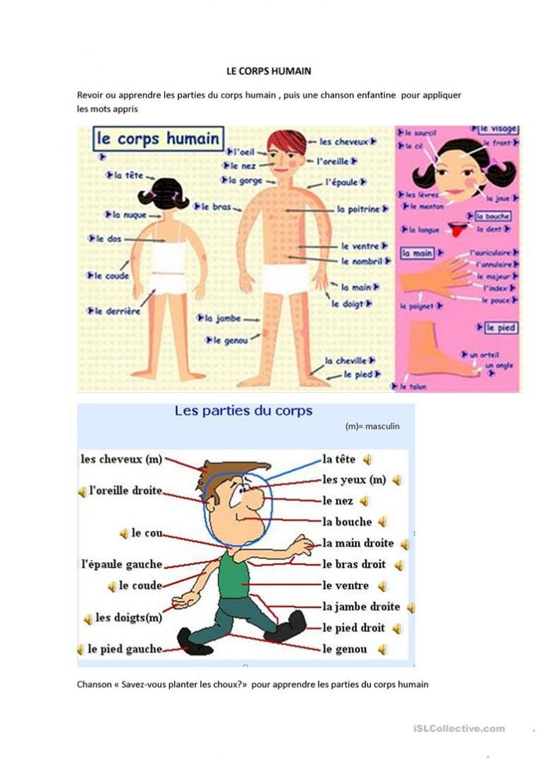 Le Corps Humain Fiche Et Chanson – Français Fle Fiches tout Le Corps Humain En Maternelle