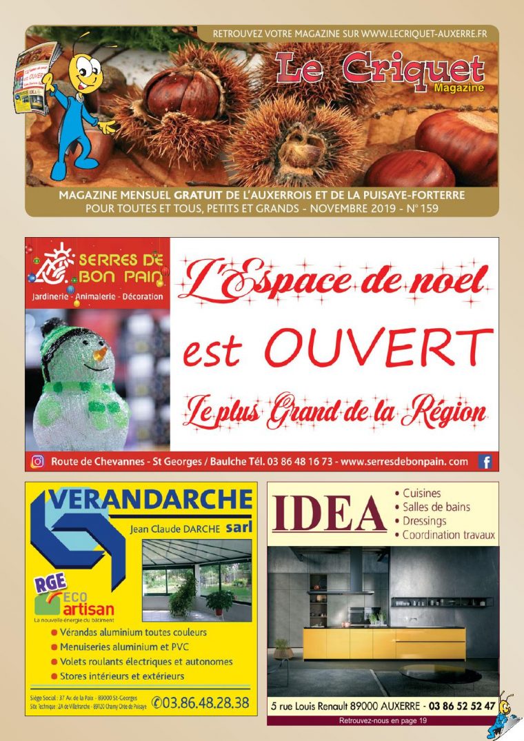 Le Criquet Magazine, Novembre 2019 By Proxilog – Issuu dedans Casse Brique Gratuit En Ligne