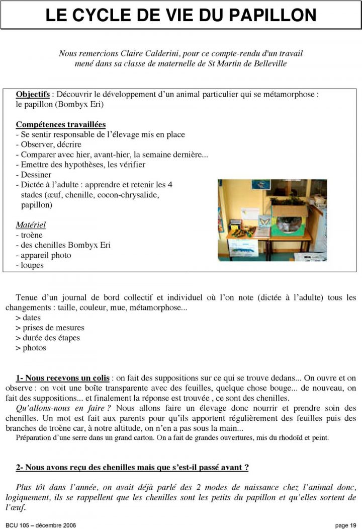 Le Cycle De Vie Du Papillon – Pdf Free Download intérieur Cycle De Vie D Une Chenille