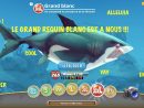 Le Grand Requin Blanc Débloqué ! - Hungry Shark World #4 pour Requin Jeux Video