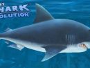 Le Grand Requin Blanc - Hungry Shark Evolution #5 (Fr) encequiconcerne Jeux Gratuit Requin Blanc