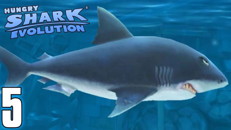 Le Grand Requin Blanc – Hungry Shark Evolution #5 (Fr) encequiconcerne Jeux Gratuit Requin Blanc