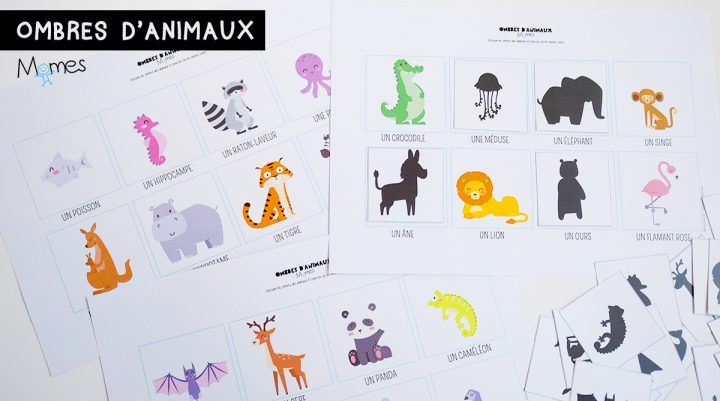 Le Jeu Des Ombres D'animaux – Momes dedans Apprendre Le Nom Des Animaux