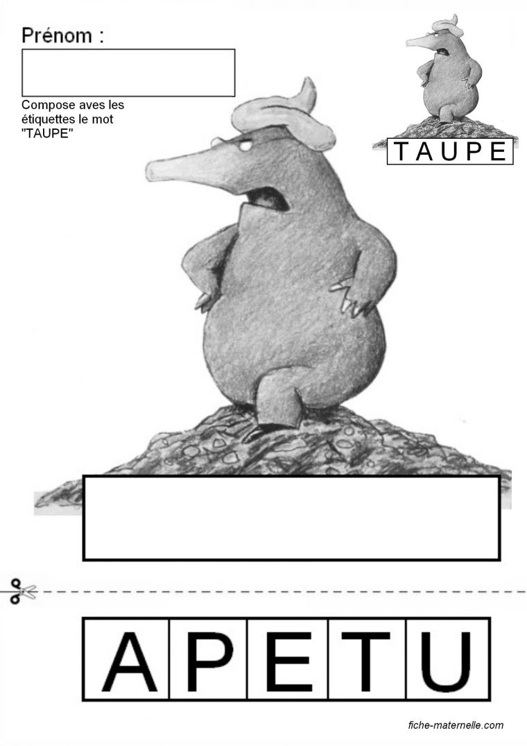 Lecture D'album En Maternelle Pour Moyenne Section | La à Jeux De Taupe