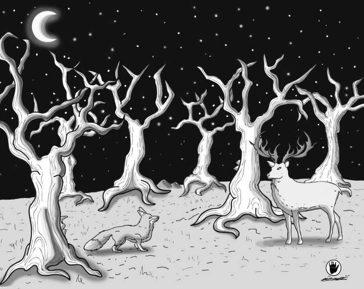 Leonard Sjostedt On Twitter: "#drawing #illustrations serapportantà Dessin De Foret