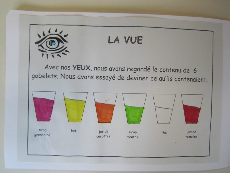 Les 5 Sens #3 – Quoi De Neuf Dans La Classe 9 ? concernant Les 5 Sens Activités Maternelle