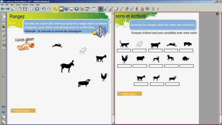 Les Animaux Domestiques – Activité Fle Pour Tbi concernant Les Animaux Domestiques En Maternelle