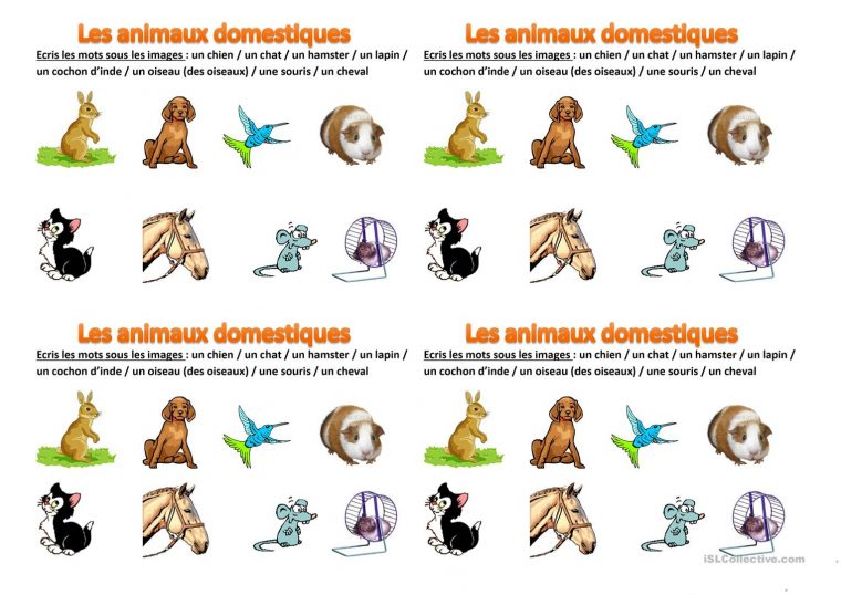 Les Animaux Domestiques – Français Fle Fiches Pedagogiques tout Les Animaux Domestiques En Maternelle