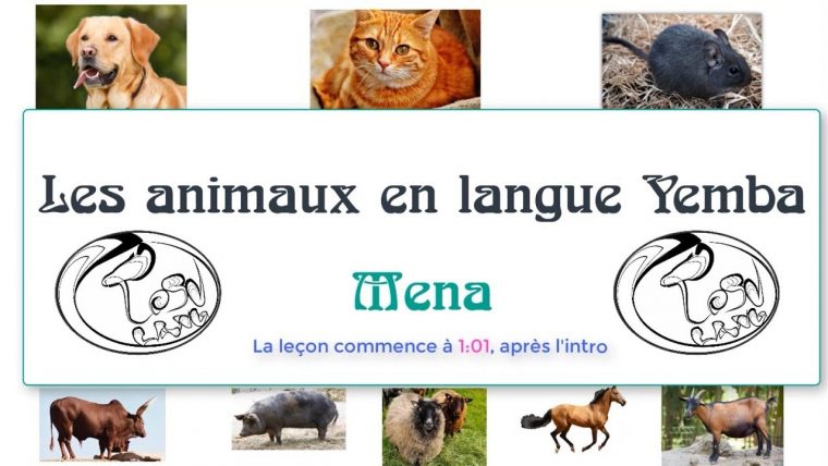 Les Animaux En Langue Yemba Part1: Animaux Domestiques dedans Les Animaux Domestiques En Maternelle