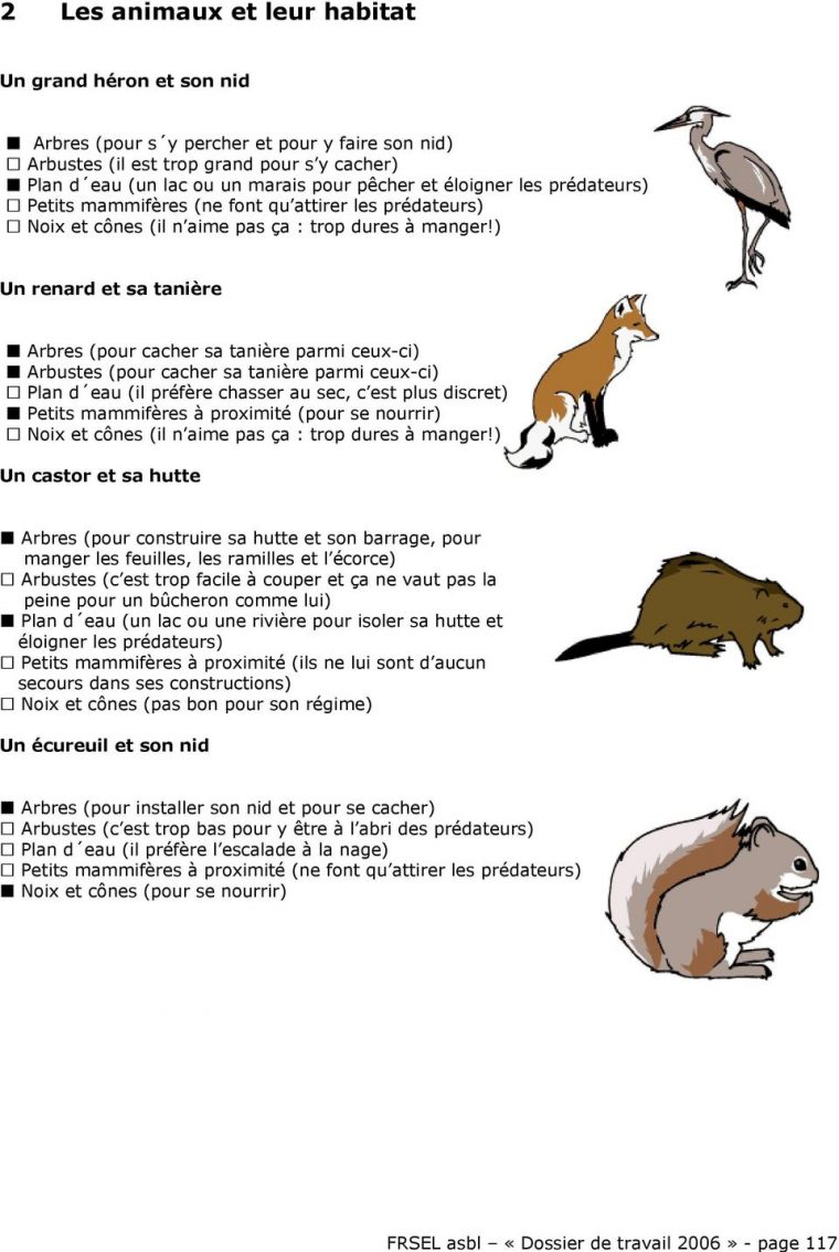 Les Animaux Et Leur Mode De Vie – Pdf Téléchargement Gratuit destiné Les Animaux Qui Hivernent