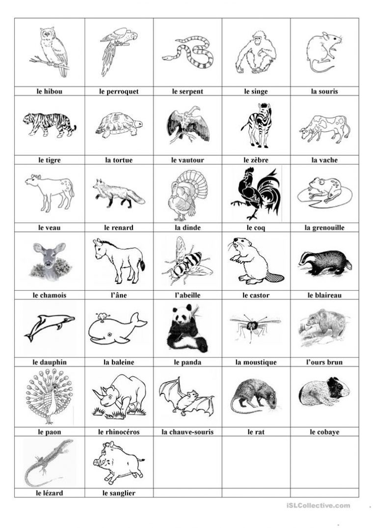 Les Animaux Sauvages Et Domestiques – Français Fle Fiches destiné Les Animaux Domestiques En Maternelle