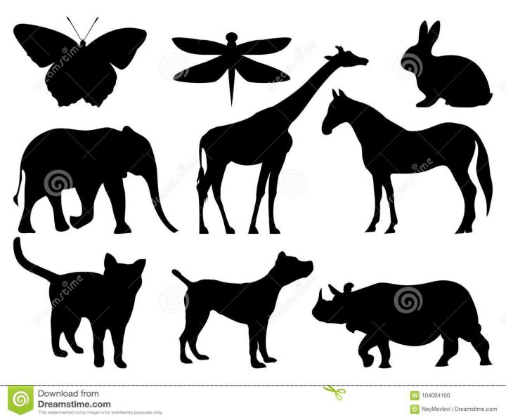 Les Animaux Silhouettent Pour L'éducation Illustration De serapportantà Apprendre Le Nom Des Animaux