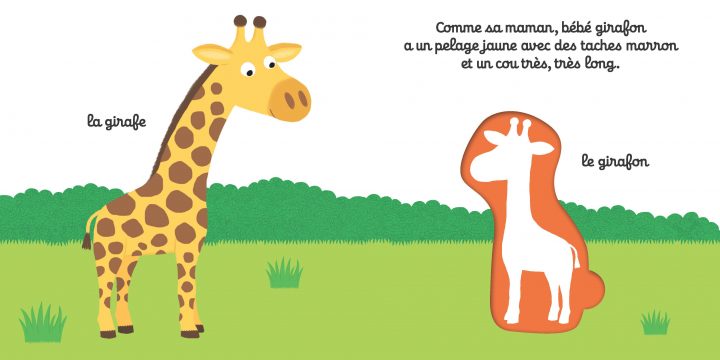 Les Bébés De La Savane – Mon 1Er Imagier À Encastrer concernant Imagier Bébé En Ligne