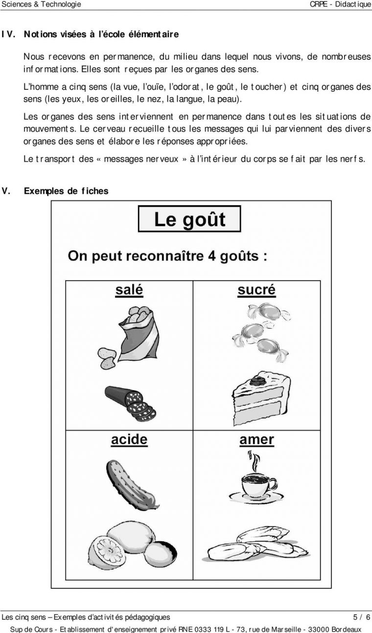 Les Cinq Sens Exemples D Activites Pedagogiques – Pdf Free pour Les 5 Sens Activités Maternelle