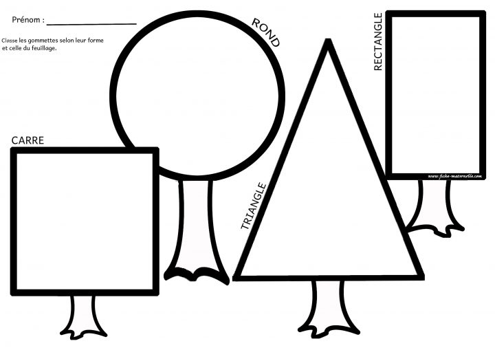 Les Figures Géométriques En Maternelle concernant Les Formes Geometrique