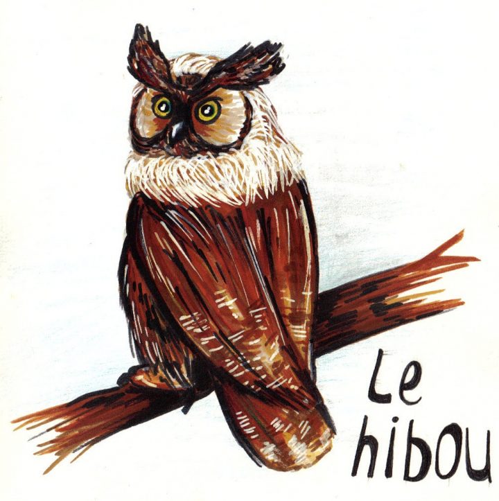 Les Gribouilloux De Cha': Extrait Carnet De Croquis De L serapportantà Hibou Dessin Couleur