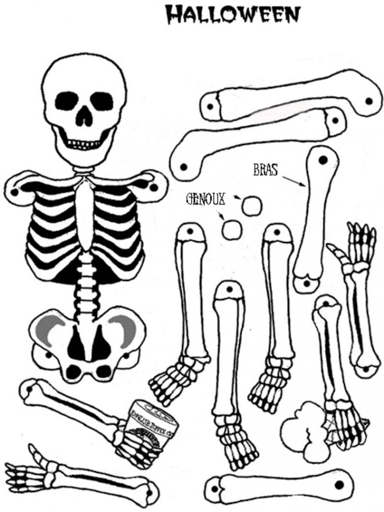 Les Pantains Articules dedans Pantins Articulés À Imprimer