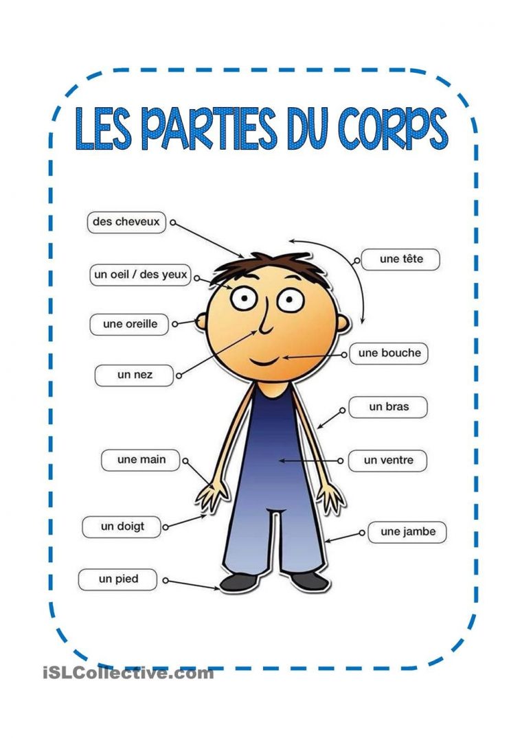 Les Parties Du Corps | Thème Corps Humain Maternelle, Partie pour Le Corps Humain En Maternelle