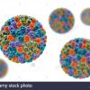Les Rotavirus, Particules Illustration De L'ordinateur intérieur Ordinateur 3 Ans