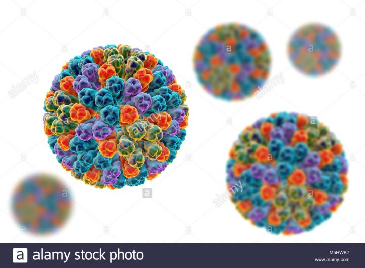 Les Rotavirus, Particules Illustration De L'ordinateur intérieur Ordinateur 3 Ans