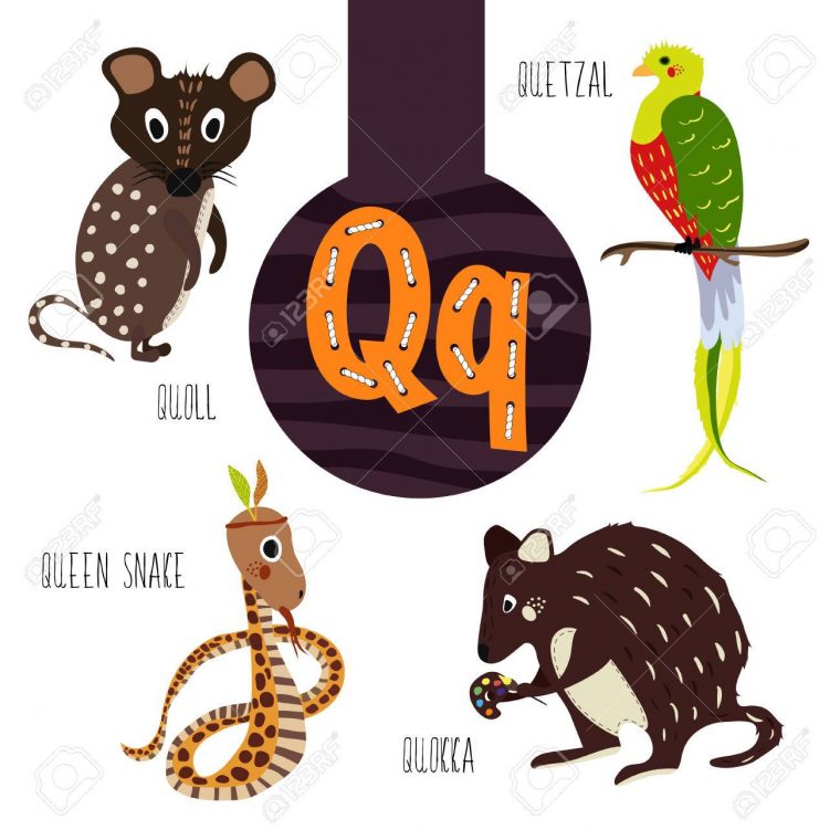 Lettres D'animaux Fun De L'alphabet Pour Le Développement Et  L'apprentissage Des Enfants D'âge Préscolaire. Ensemble De Forêt Mignon,  Les Animaux encequiconcerne Les Animaux Domestiques En Maternelle