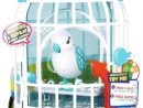 Little Live Pets : Oiseau Avec Sa Cage - Jeux encequiconcerne Jeux De L Oiseau