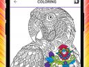 Livre Coloriage Mandala - Libre Jeu Pour Adultes Pour tout Jeux De Coloriage De Rosace