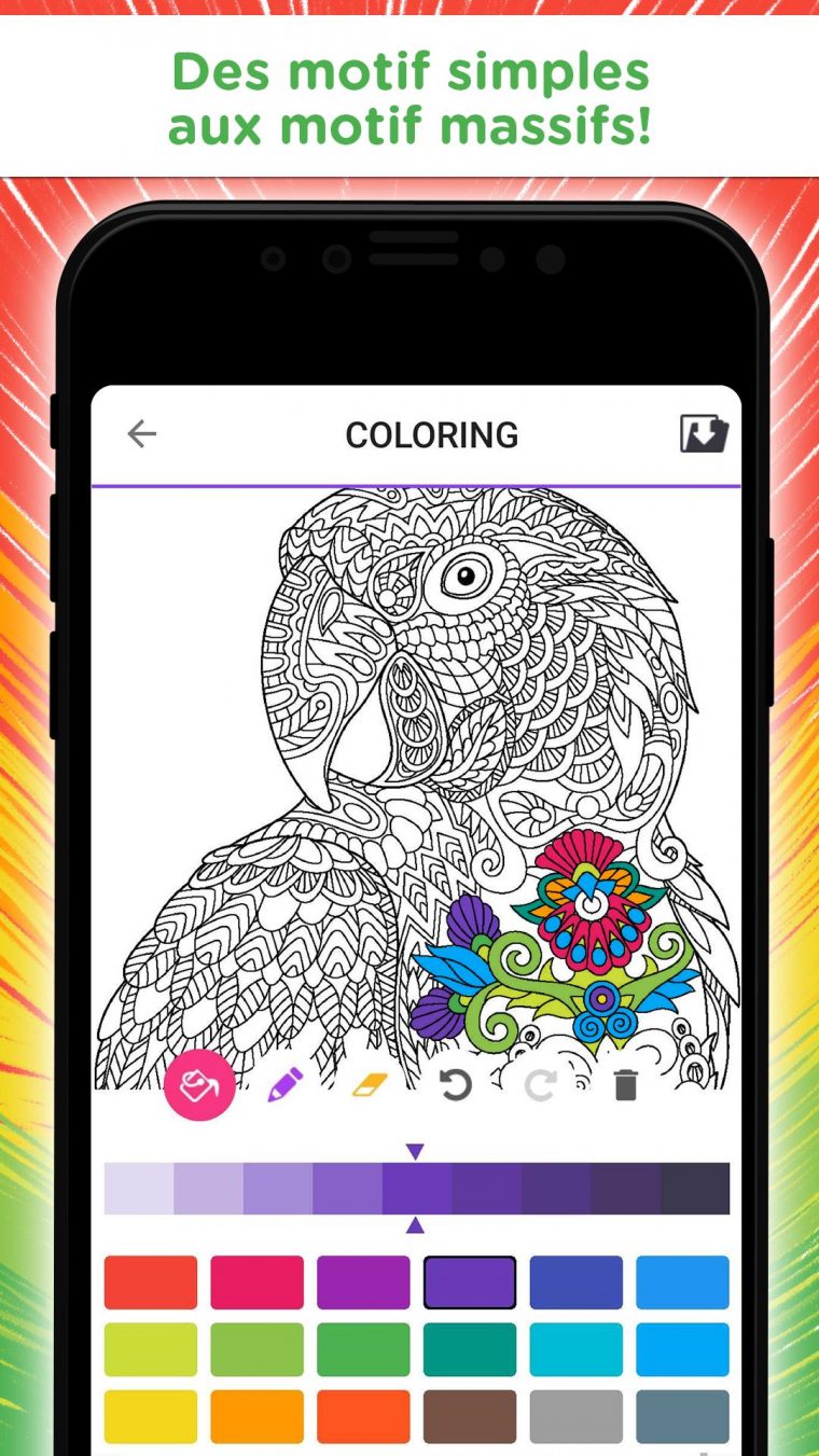 Livre Coloriage Mandala – Libre Jeu Pour Adultes Pour tout Jeux De Coloriage De Rosace