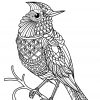 Livre Gratuit Oiseau - Oiseaux - Coloriages Difficiles Pour pour Livre De Coloriage À Imprimer