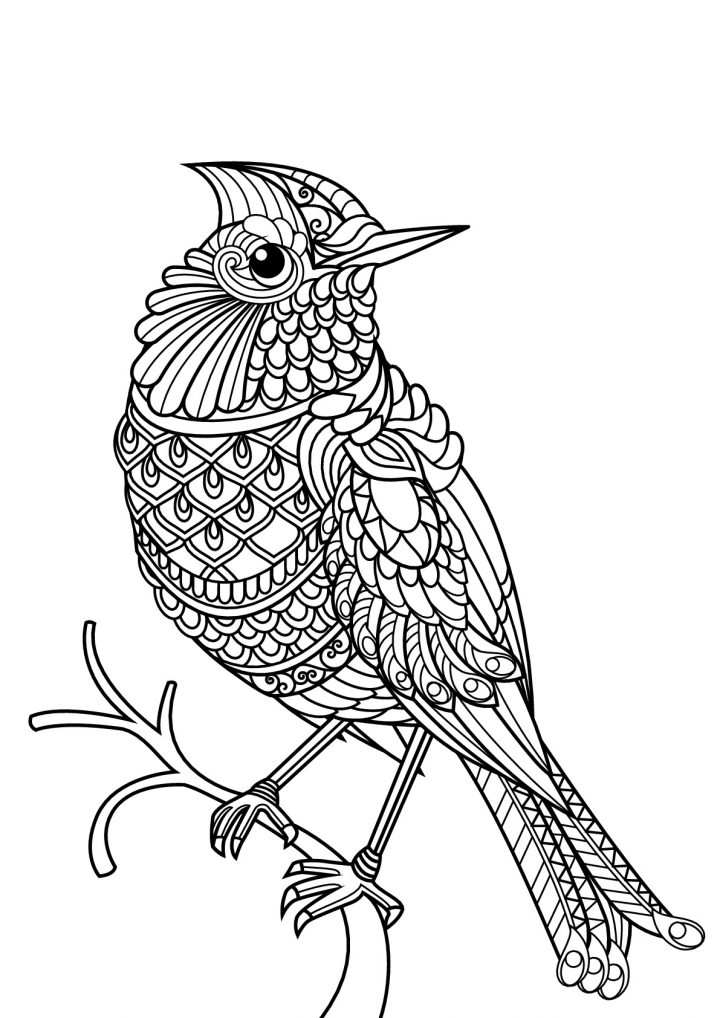 Livre Gratuit Oiseau – Oiseaux – Coloriages Difficiles Pour pour Livre De Coloriage À Imprimer