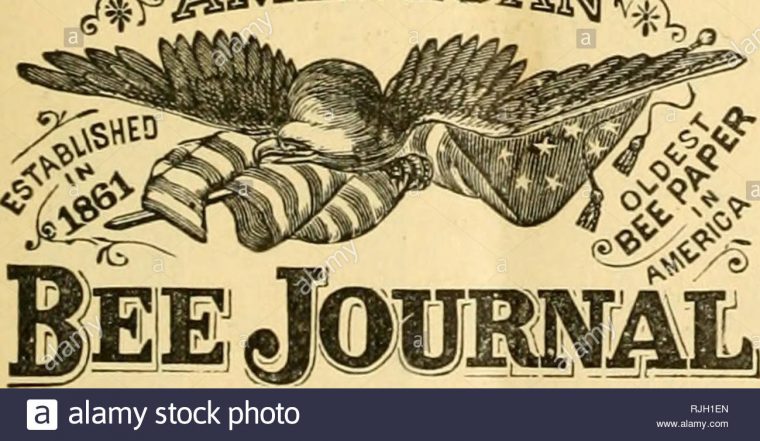 Los Apicultores" Revisión. Cultura De La Abeja. Los à Revision Grande Section Los Apicultores" Revisión. Cultura De La Abeja. Los à Revision Grande Section