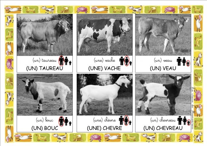 Loto Des Animaux De La Ferme – La Classe De Mamaicress à Apprendre Le Nom Des Animaux