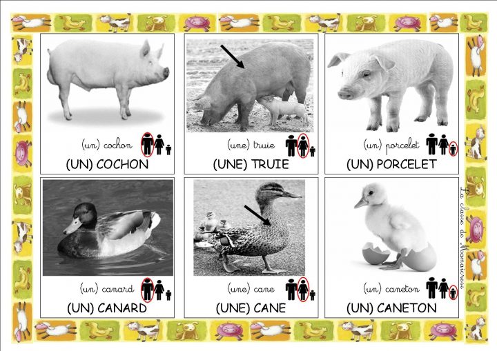 Loto Des Animaux De La Ferme – La Classe De Mamaicress pour Apprendre Le Nom Des Animaux