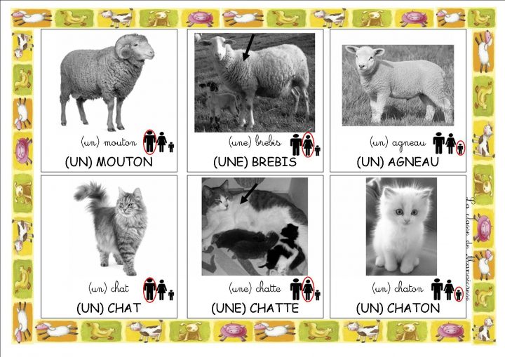 Loto Des Animaux De La Ferme – La Classe De Mamaicress serapportantà Jeux D Animaux De La Ferme