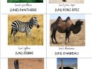 Loto : Les Animaux D'afrique (Crapouillot-Montessori) - 6 pour Les Animaux De L Afrique