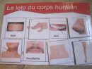 Loto Sur Le Corps Humain - By Kathalynn intérieur Le Corps Humain En Maternelle