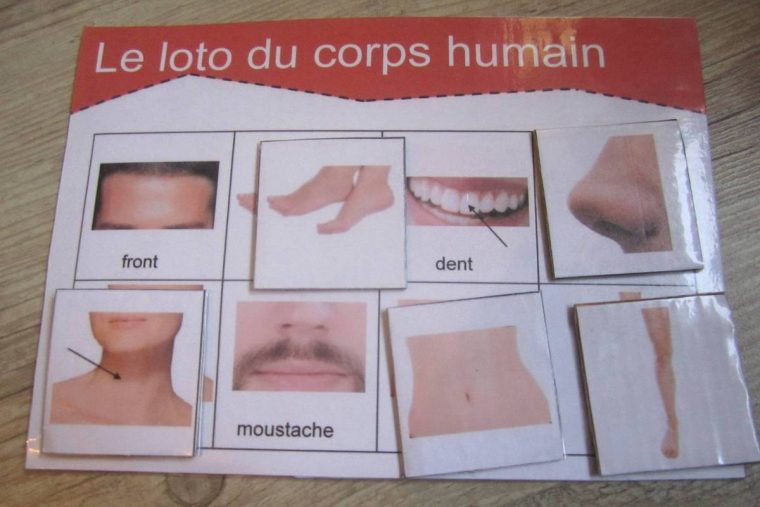 Loto Sur Le Corps Humain – By Kathalynn intérieur Le Corps Humain En Maternelle