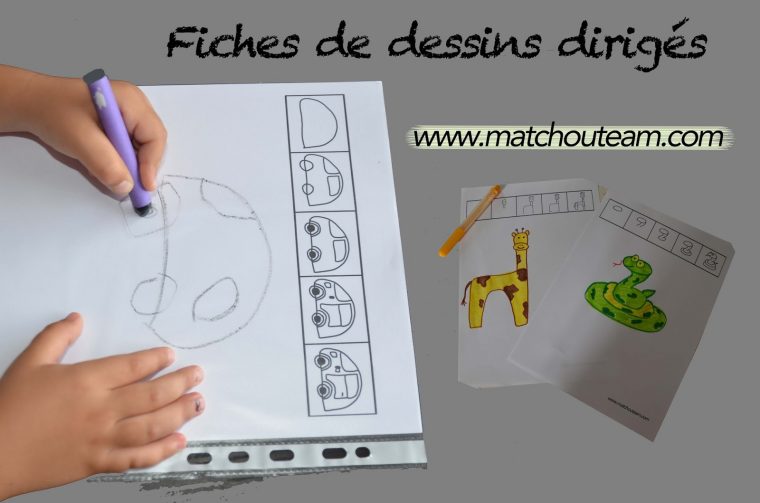 Ma Tchou Team: Fiches De Dessins Dirigés concernant Modèles De Dessins À Reproduire