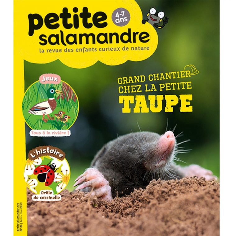 Magazine Petite Salamandre N23 Grand Chantier Chez La Petite Taupe dedans Jeux De Taupe