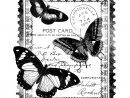 Magenta S'accrochent Carte Postale Timbres-Papillion - Pour destiné Etiquette Papillon A Imprimer