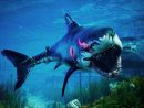 Man Eater : Le Jeu Où L'on Incarne Un Requin Blanc Et C'est serapportantà Requin Jeux Video