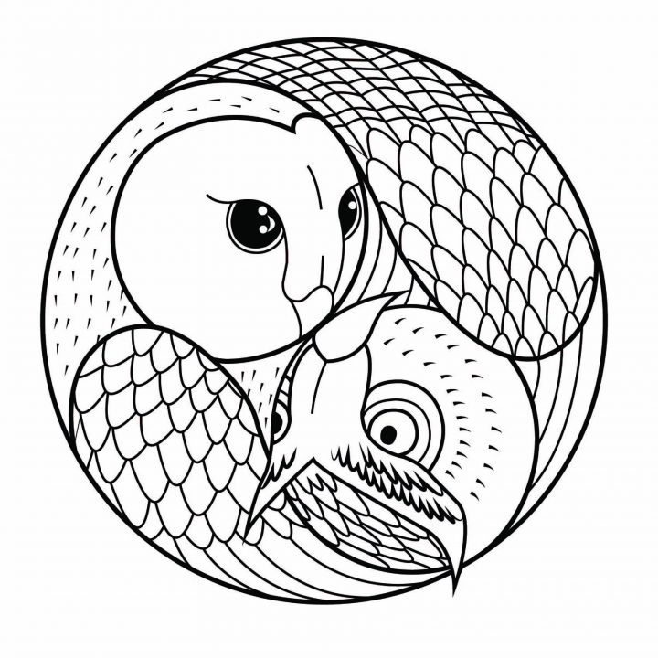 Mandala Hibou & Chouette – Mandalas Sur Le Thème Des Animaux pour Hibou A Imprimer