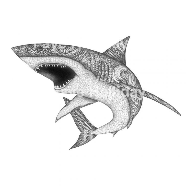 Mandala Requin – Recherche Google | Mandala, Mandala Dessin encequiconcerne Dessin De Requin À Imprimer