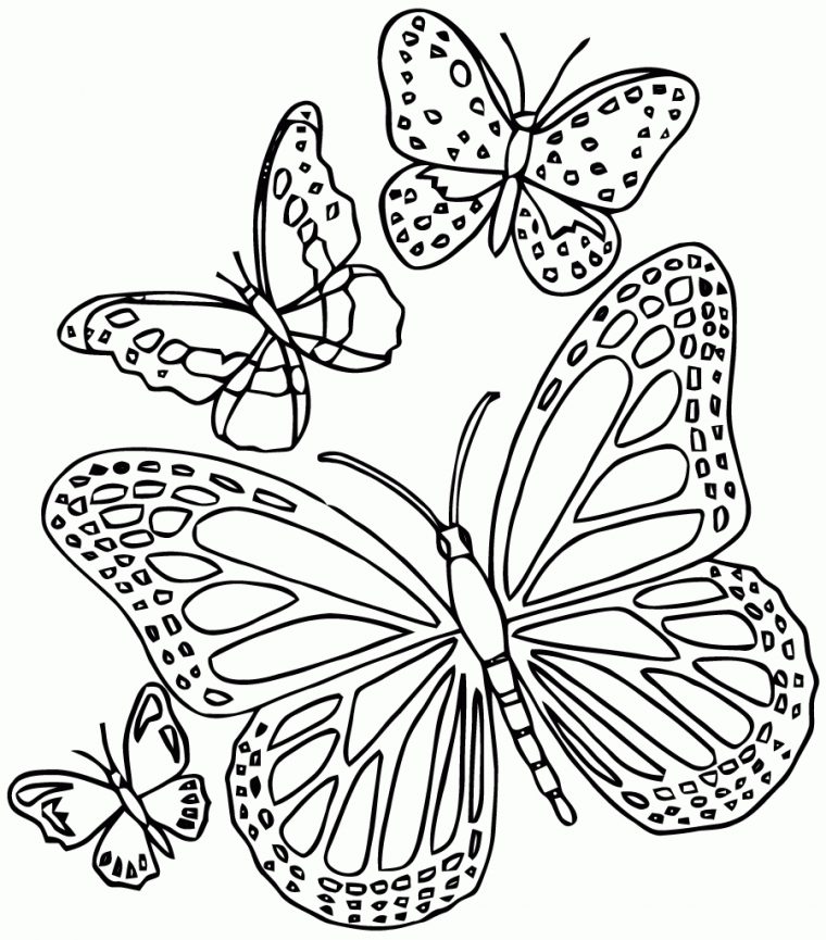 Masque À Colorier Papillon serapportantà Dessin Papillon À Colorier