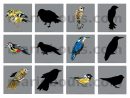 Mémo Oiseaux/ombres pour Jeux De L Oiseau