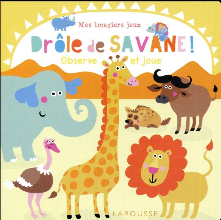 Mes Imagiers-Jeux ; Drôle De Savane ; Observe Et Joue – Holtfreter Nastja –  Larousse – Grand Format – Place Des Libraires pour Jeux De Savane