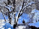 Miriam Peters-Rouyer &quot;artiste-Peintre&quot; : &quot;paysage D'hiver destiné Dessin De Paysage D Hiver