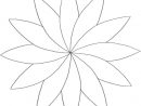 Modèle De Rosace En Fleur De Pâquerette Colorée | Paquerette encequiconcerne Modèles De Dessins À Reproduire