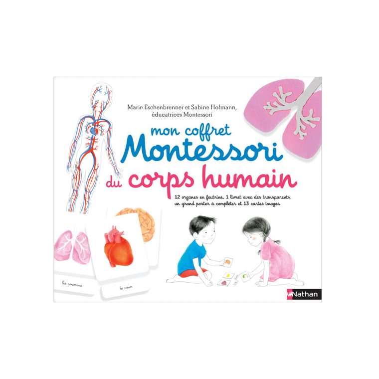 Mon Coffret Montessori Du Corps Humain avec Jeux De Squelette Gratuit